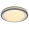 GloboTERPSA Lámpara de Techo LED Gris, Blanca, 1 luz, Mando a distancia