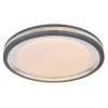 GloboTERPSA Lámpara de Techo LED Gris, Blanca, 1 luz, Mando a distancia