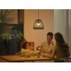 Philips Hue E14 LED de 5,1 vatios 4000 Kelvin 470 lúmenes