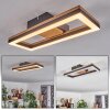 Cascada Lámpara de Techo LED Marrón, Color madera, Negro, 1 luz