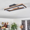 Cascada Lámpara de Techo LED Marrón, Color madera, Negro, 1 luz