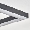 Obo Lámpara de Techo LED Negro, 1 luz