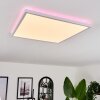 Hotinhas Lámpara de Techo LED Blanca, 1 luz, Mando a distancia, Cambia de color