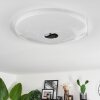 Klosters Lámpara de Techo LED Blanca, 1 luz
