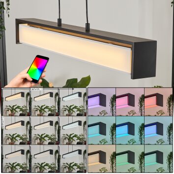 Siders Lámpara Colgante LED Negro, 1 luz, Cambia de color