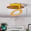 Sunrise Lámpara de Techo LED dorado, 1 luz