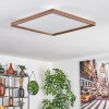 Longvic Lámpara de Techo LED Marrón, Color madera, Negro, 1 luz