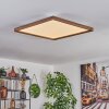 Longvic Lámpara de Techo LED Marrón, Color madera, Negro, 1 luz