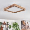 Longvic Lámpara de Techo LED Marrón, Color madera, Negro, 1 luz