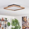 Longvic Lámpara de Techo LED Marrón, Color madera, Negro, 1 luz