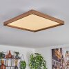 Longvic Lámpara de Techo LED Marrón, Color madera, Negro, 1 luz