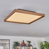 Longvic Lámpara de Techo LED Marrón, Color madera, Negro, 1 luz