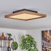 Longvic Lámpara de Techo LED Marrón, Color madera, Negro, 1 luz