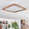 Longvic Lámpara de Techo LED Marrón, Color madera, Negro, 1 luz