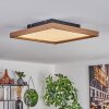 Longvic Lámpara de Techo LED Marrón, Color madera, Negro, 1 luz, Mando a distancia