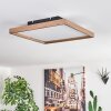 Longvic Lámpara de Techo LED Marrón, Color madera, Negro, 1 luz, Mando a distancia