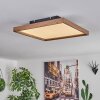 Longvic Lámpara de Techo LED Marrón, Color madera, Negro, 1 luz, Mando a distancia