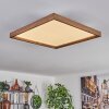 Longvic Lámpara de Techo LED Marrón, Color madera, Negro, 1 luz, Mando a distancia