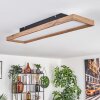 Longvic Lámpara de Techo LED Marrón, Color madera, Negro, 1 luz