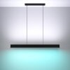 Eglo ANDREAS-Z Lámpara Colgante LED Negro, 2 luces, Cambia de color