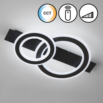 Fischer & Honsel Circle Lámpara de Techo LED Negro, 1 luz, Mando a distancia
