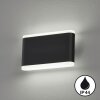 Fischer & Honsel Scounce Aplique LED Negro, 2 luces