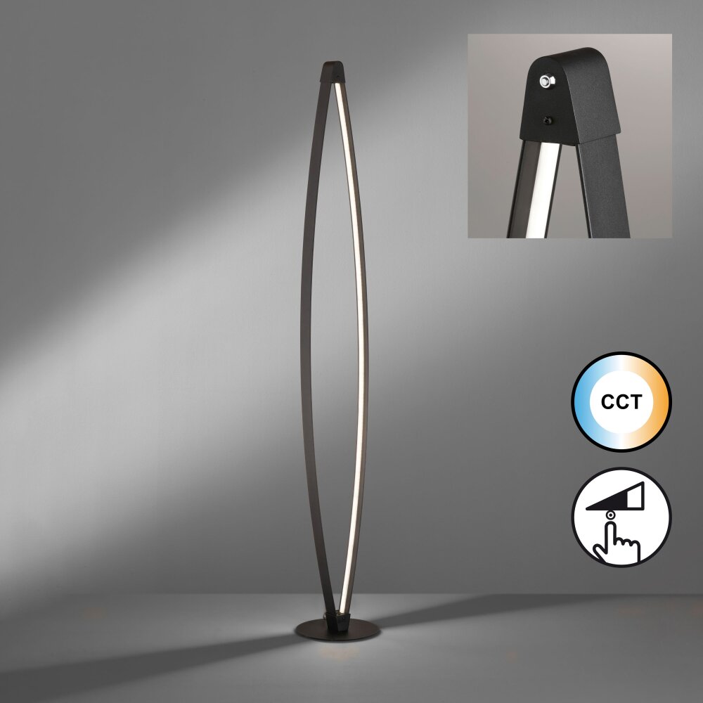 Fischer & Honsel Fenga Lámpara de Pie LED Negro, 1 luz main product photo
