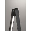 Fischer & Honsel Fenga Lámpara de Pie LED Negro, 1 luz
