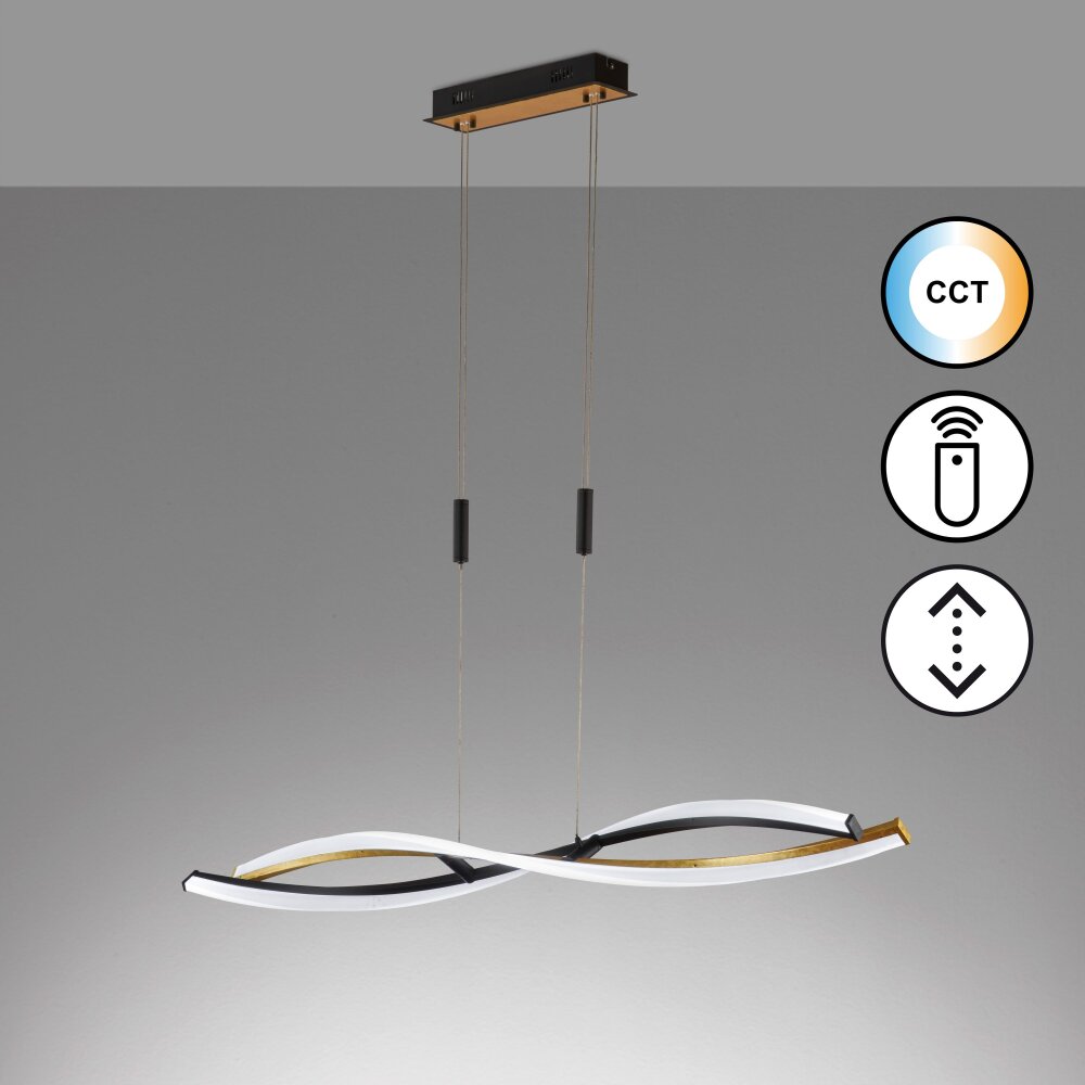 Fischer & Honsel Torcido Lámpara Colgante LED Negro, 1 luz, Mando a distancia main product photo