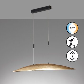 Fischer & Honsel Colmar Lámpara Colgante LED Negro, 6 luces