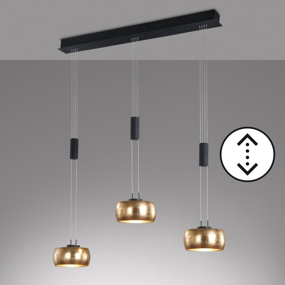 Fischer & Honsel Colette Lámpara Colgante LED Negro, 3 luces main product photo