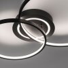 Leuchten-Direkt ASMINA Lámpara de Techo LED Negro, 2 luces