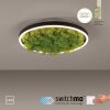 Leuchten-Direkt GREEN RITUS Lámpara de Techo LED Negro, 1 luz