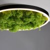 Leuchten-Direkt GREEN RITUS Lámpara de Techo LED Negro, 1 luz