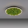 Leuchten-Direkt GREEN RITUS Lámpara de Techo LED Negro, 1 luz