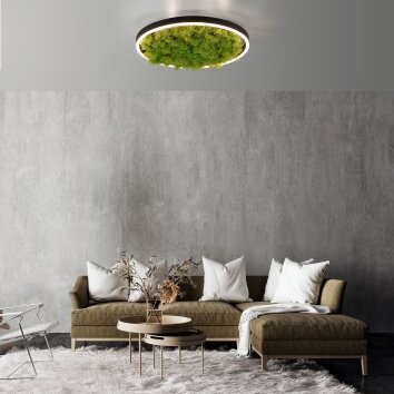 Leuchten-Direkt GREEN RITUS Lámpara de Techo LED Negro, 1 luz