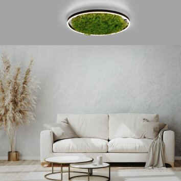 Leuchten-Direkt GREEN RITUS Lámpara de Techo LED Negro, 1 luz