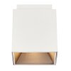 Nordlux ETHAN Lámpara de Techo Blanca, 1 luz