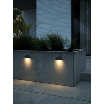 Nordlux SCOR Aplique para exterior Negro, 1 luz