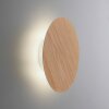 Paul Neuhaus AKKU PUNTUA Aplique LED Blanca, 1 luz, Mando a distancia
