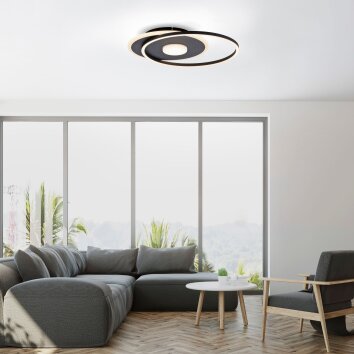 Leuchten-Direkt DOMINO Lámpara de Techo LED Negro, 1 luz