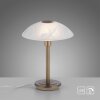 Paul Neuhaus ENOVA Lámpara de mesa LED Latón antiguo, 1 luz