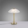 Paul Neuhaus ENOVA Lámpara de mesa LED Latón, 1 luz