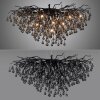 Paul Neuhaus ICICLE Lámpara de araña Negro, 10 luces