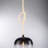 Paul Neuhaus LUMA Lámpara Colgante Negro, 1 luz