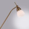 Paul Neuhaus PINO Lámpara de Pie LED Latón antiguo, 1 luz