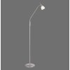 Paul Neuhaus PINO Lámpara de Pie LED Plata, 1 luz