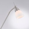 Paul Neuhaus PINO Lámpara de Pie LED Plata, 1 luz
