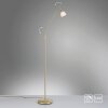 Paul Neuhaus PINO Lámpara de Pie LED Latón, 1 luz
