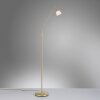 Paul Neuhaus PINO Lámpara de Pie LED Latón, 1 luz